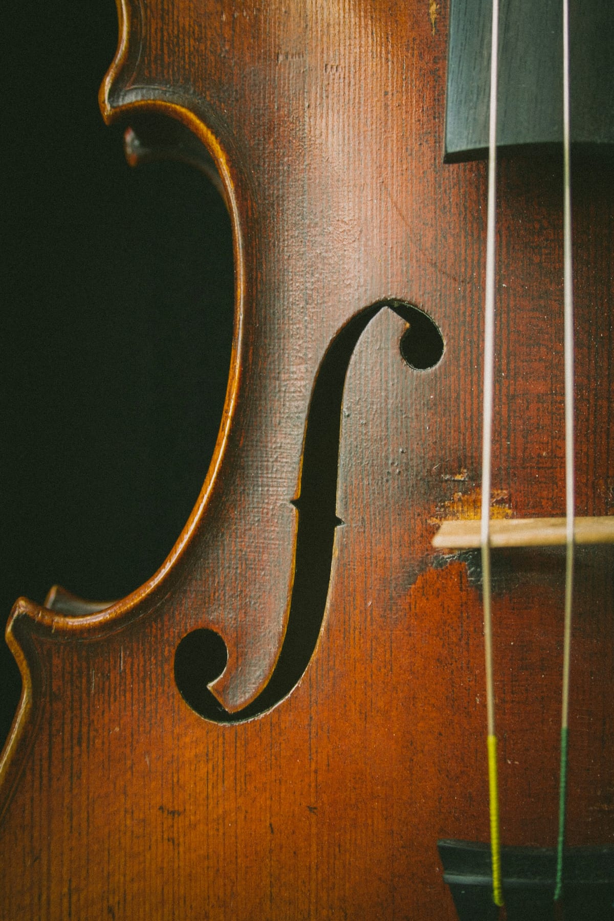Close detail of a violin body showing the f-hole, bridge and strings